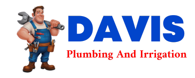 Trusted plumber in DILLER